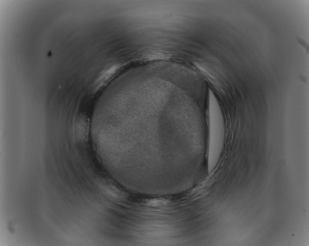 X0000091350168200708311523