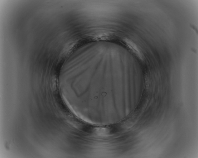 X0000091350169200708311523