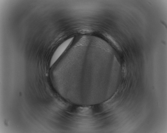 X0000091350170200708311523