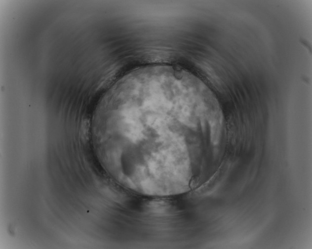 X0000091350171200708311523