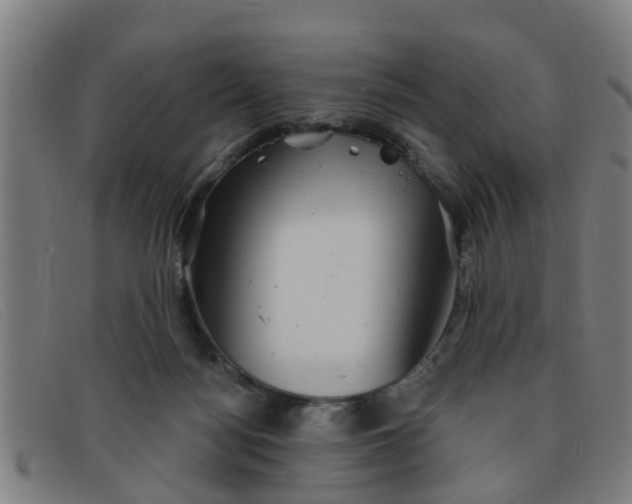 X0000091350172200708311523