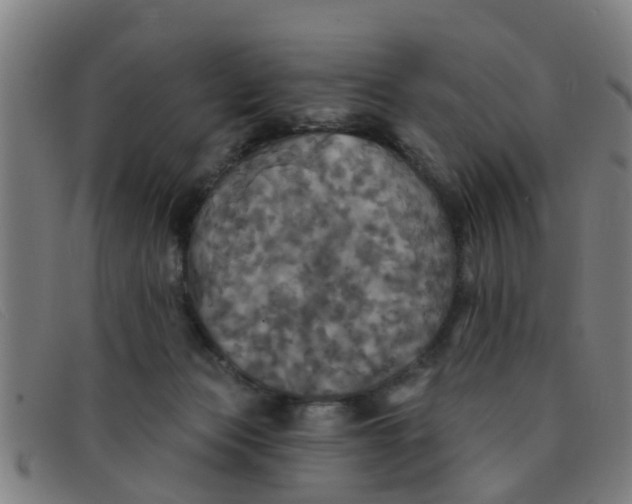 X0000091350173200708311523