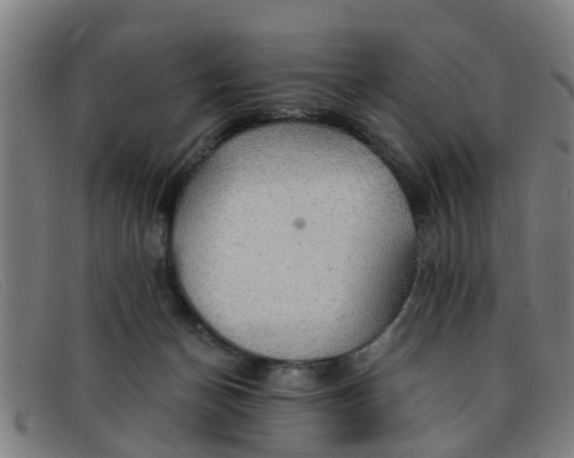 X0000091350174200708311523