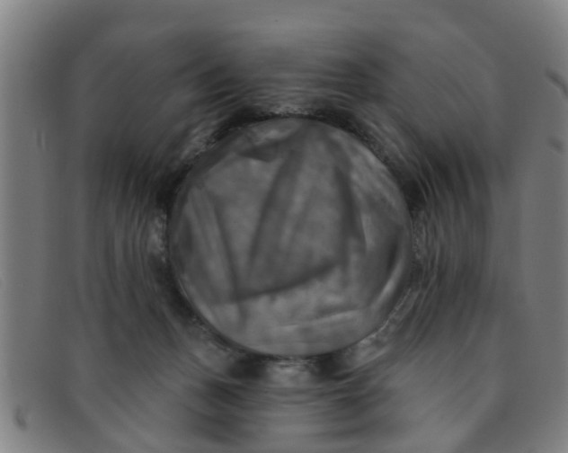 X0000091350175200708311523
