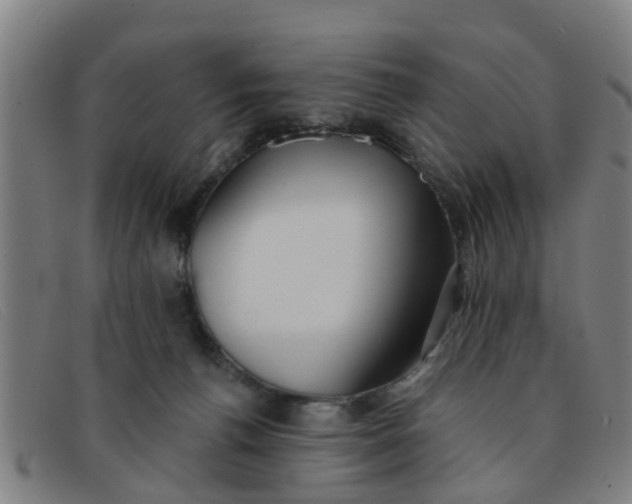 X0000091350176200708311523