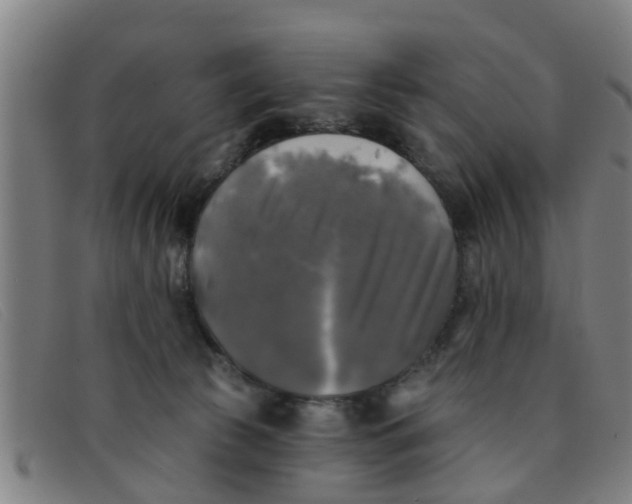 X0000091350177200708311523