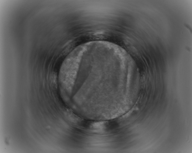 X0000091350178200708311523