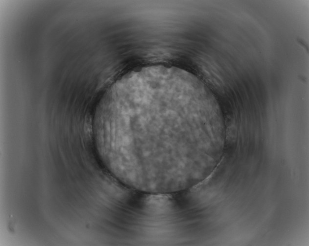 X0000091350179200708311523