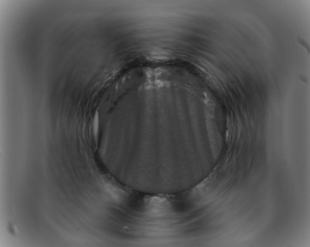 X0000091350180200708311523