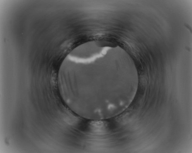 X0000091350181200708311523