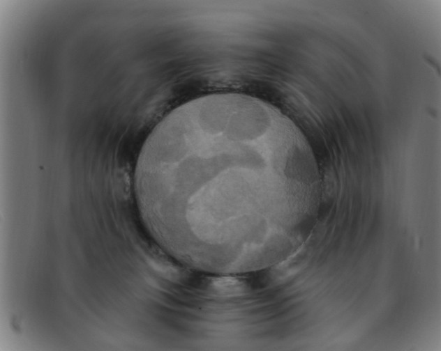 X0000091350183200708311523