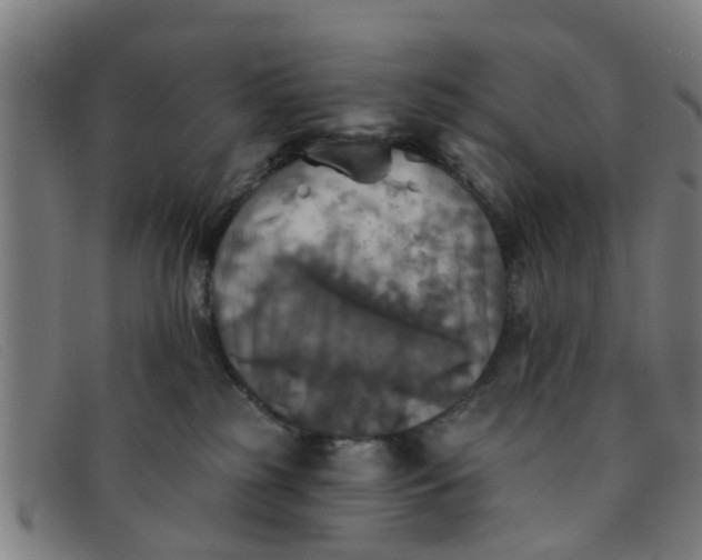 X0000091350185200708311523
