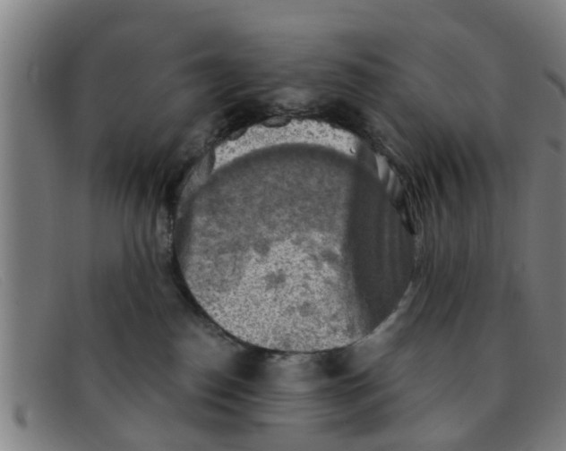 X0000091350186200708311523