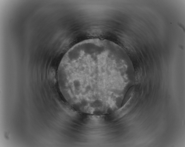 X0000091350187200708311523