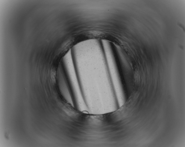 X0000091350188200708311523