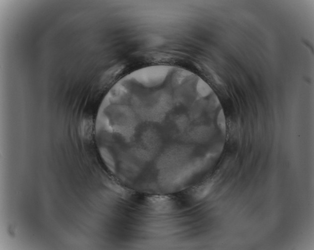 X0000091350189200708311523