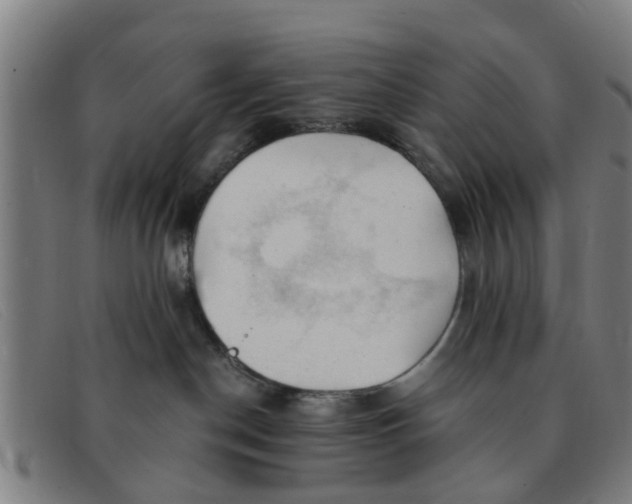 X0000091350190200708311523