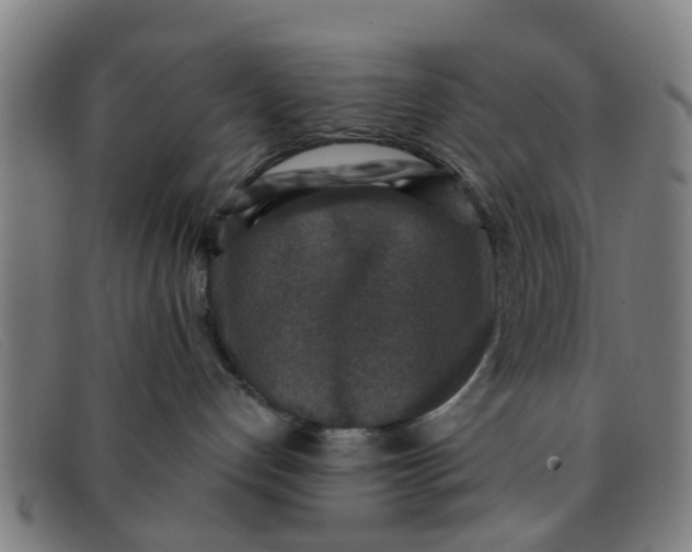 X0000091350192200708311523