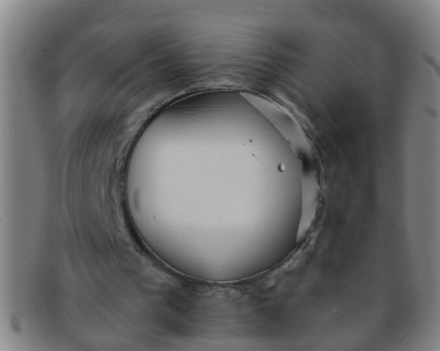 X0000091350193200708311523