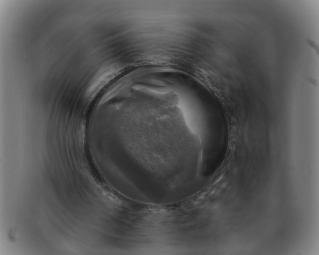X0000091350194200708311523
