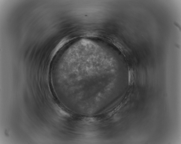 X0000091350195200708311523