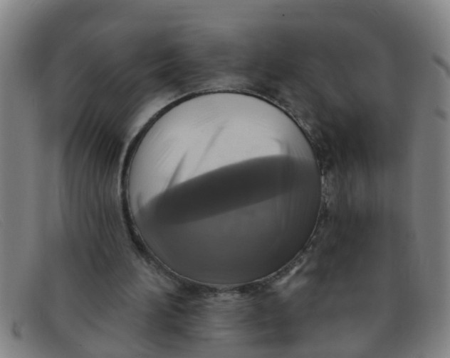 X0000091350196200708311523