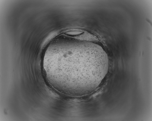 X0000091350197200708311523