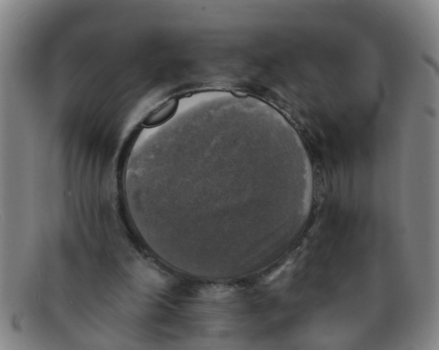 X0000091350198200708311523