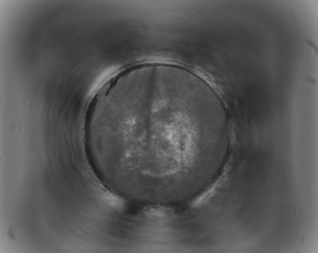 X0000091350199200708311523