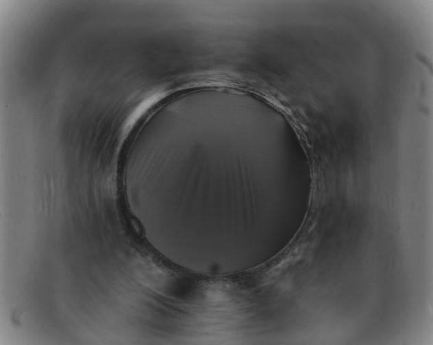 X0000091350200200708311523