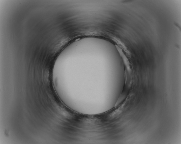 X0000091350201200708311523