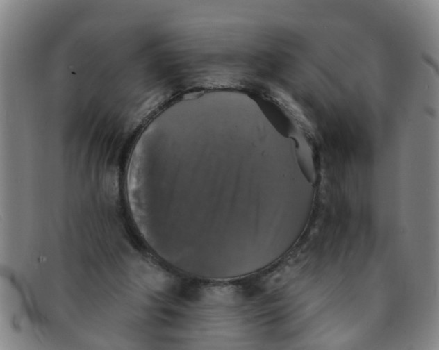 X0000091350202200708311523