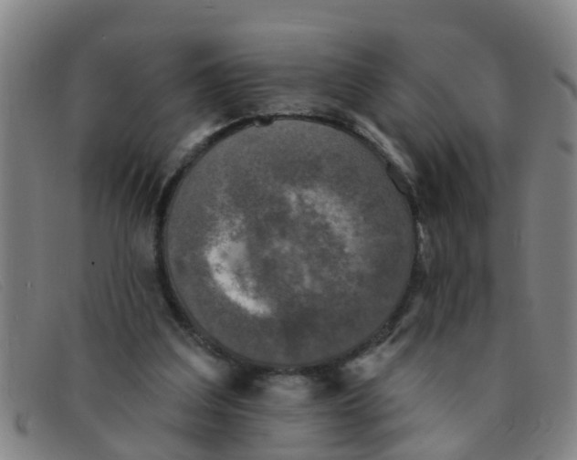 X0000091350203200708311523