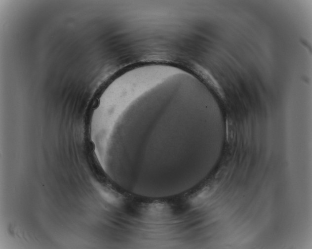 X0000091350204200708311523