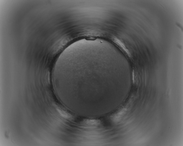 X0000091350205200708311523