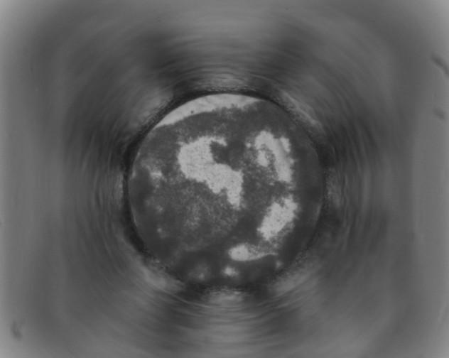 X0000091350206200708311523