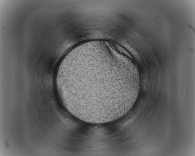 X0000091350207200708311523