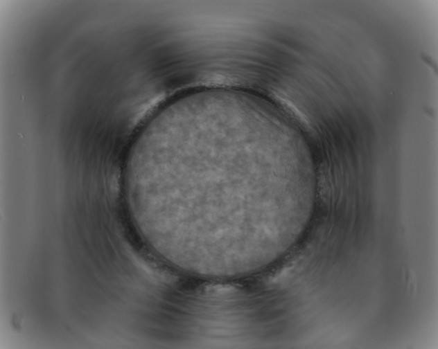 X0000091350208200708311523