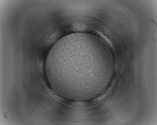 X0000091350209200708311523