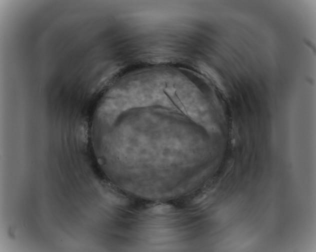X0000091350210200708311523