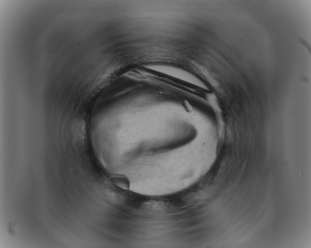 X0000091350211200708311523