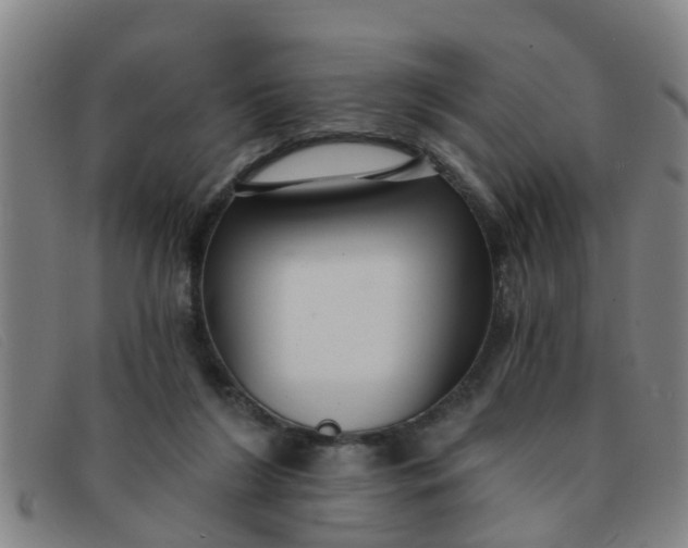 X0000091350212200708311523