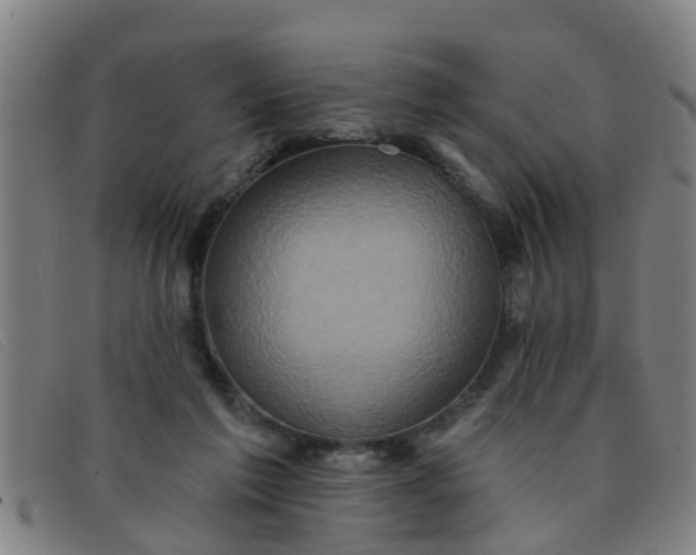 X0000091350213200708311523