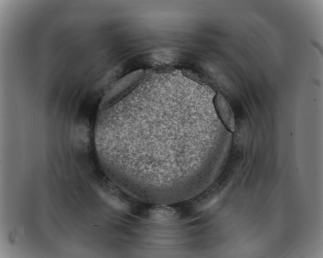 X0000091350215200708311523