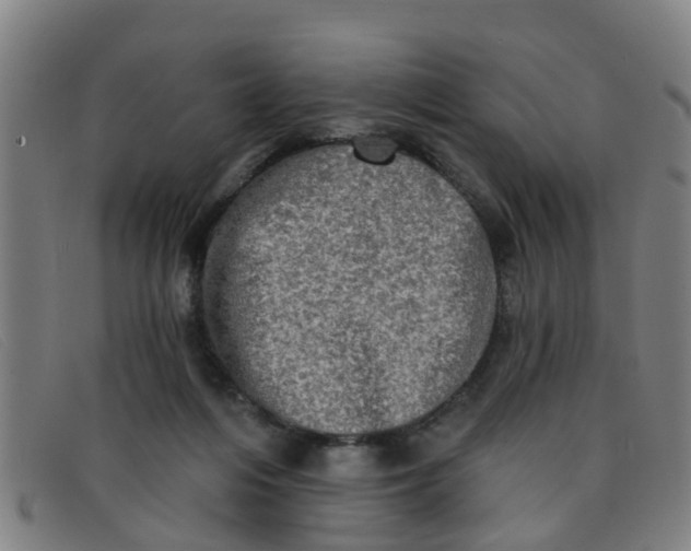 X0000091350216200708311523