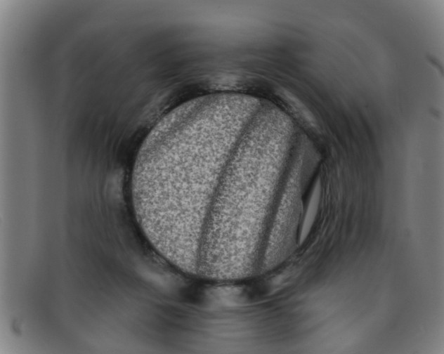 X0000091350217200708311523