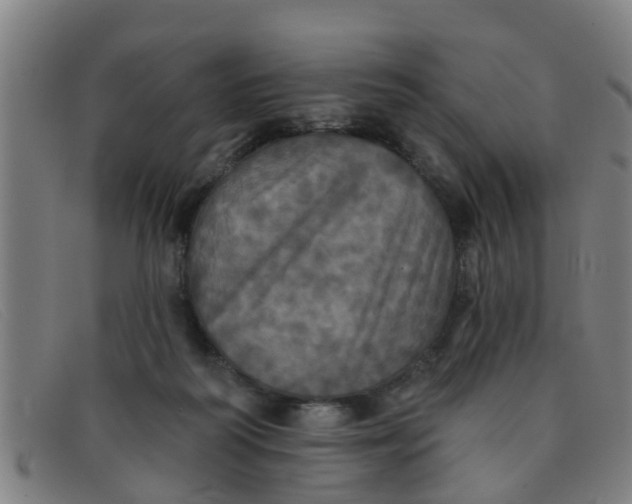 X0000091350218200708311523
