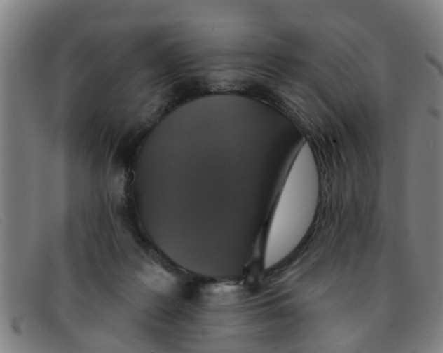 X0000091350219200708311523