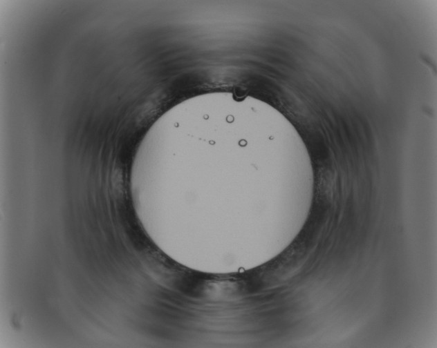 X0000091350220200708311523