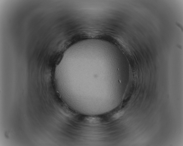 X0000091350221200708311523